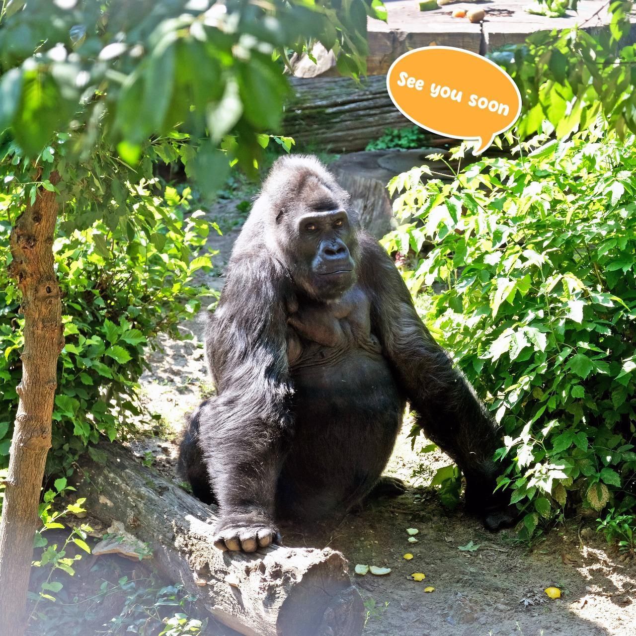 imgbig Економічні новини - головні новини України та світу