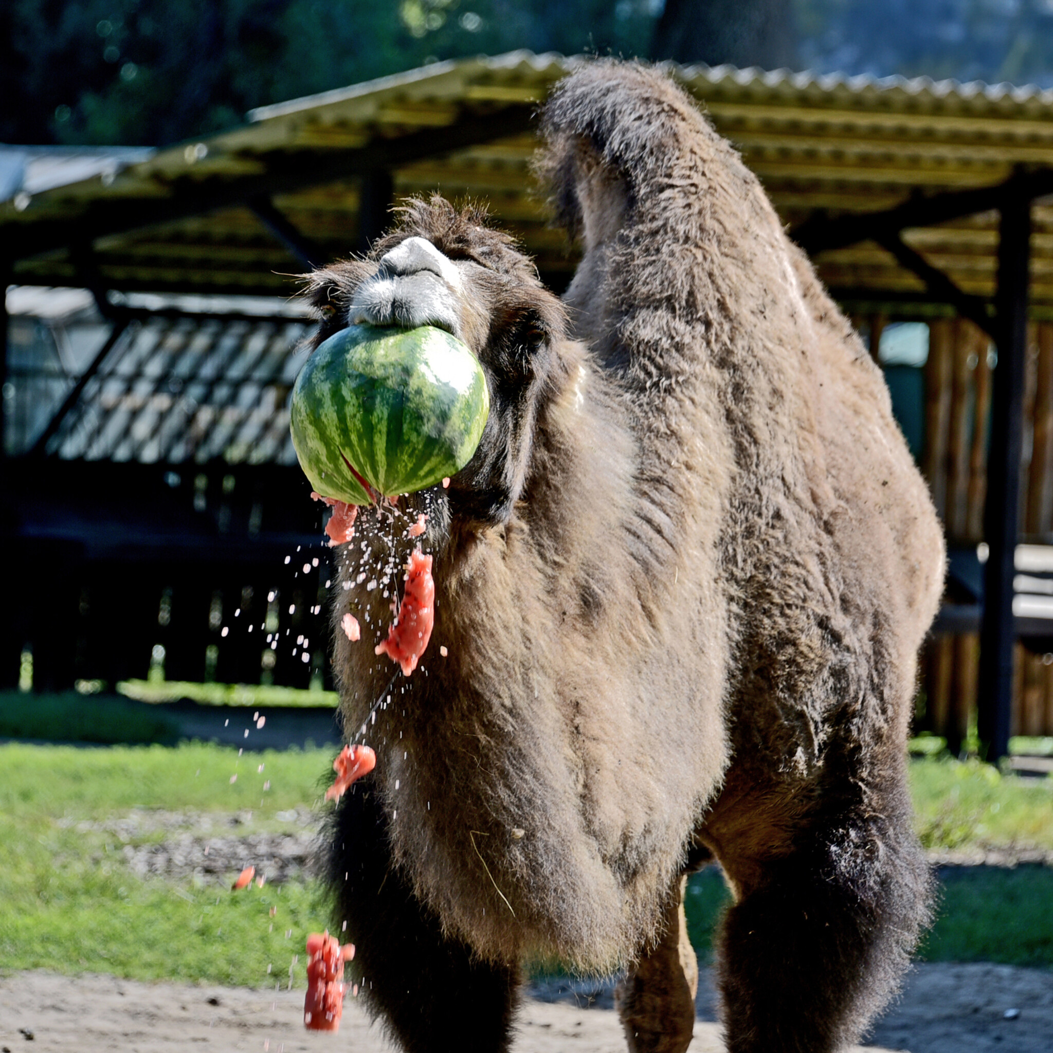 imgbig Економічні новини - головні новини України та світу
