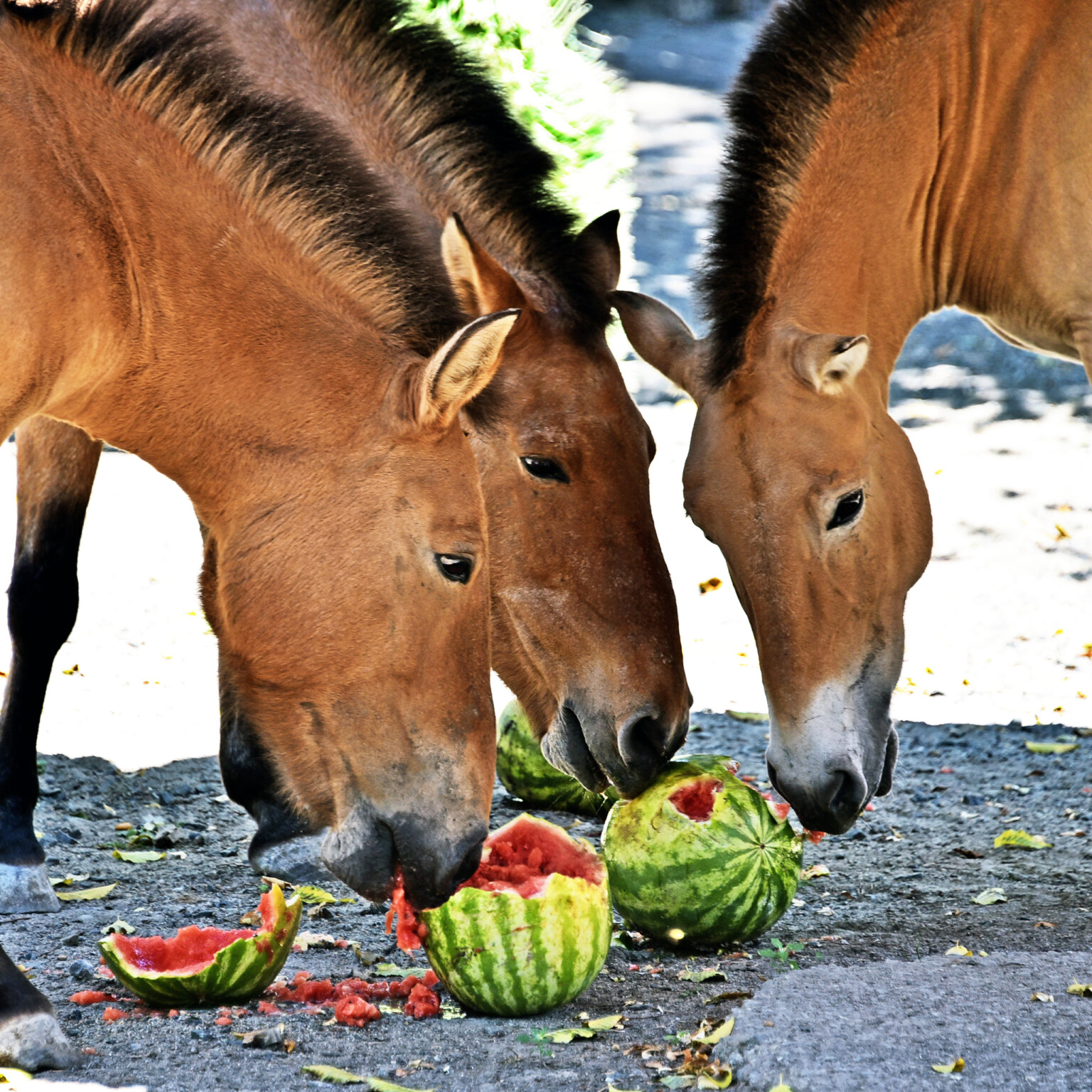 imgbig Економічні новини - головні новини України та світу