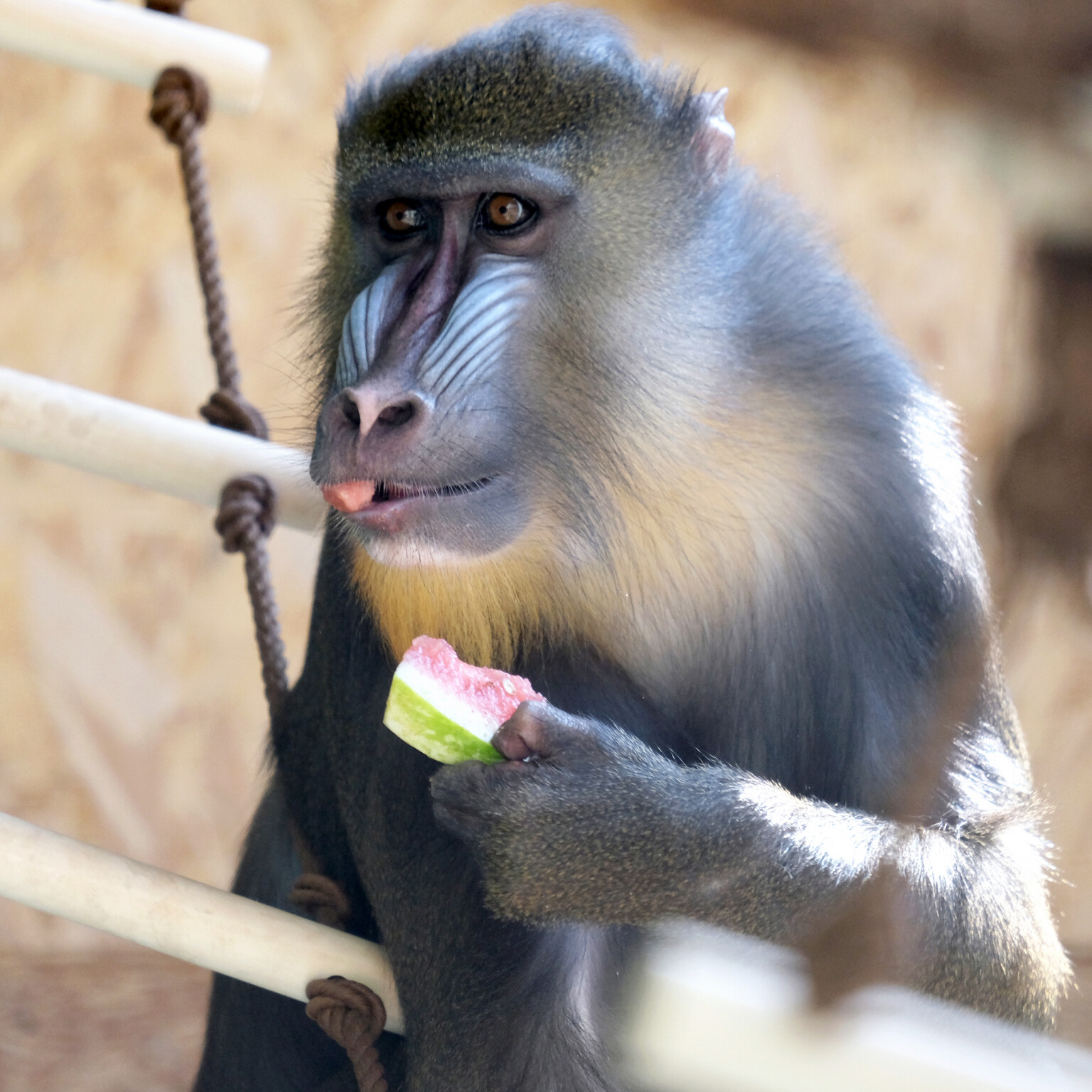 imgbig Економічні новини - головні новини України та світу