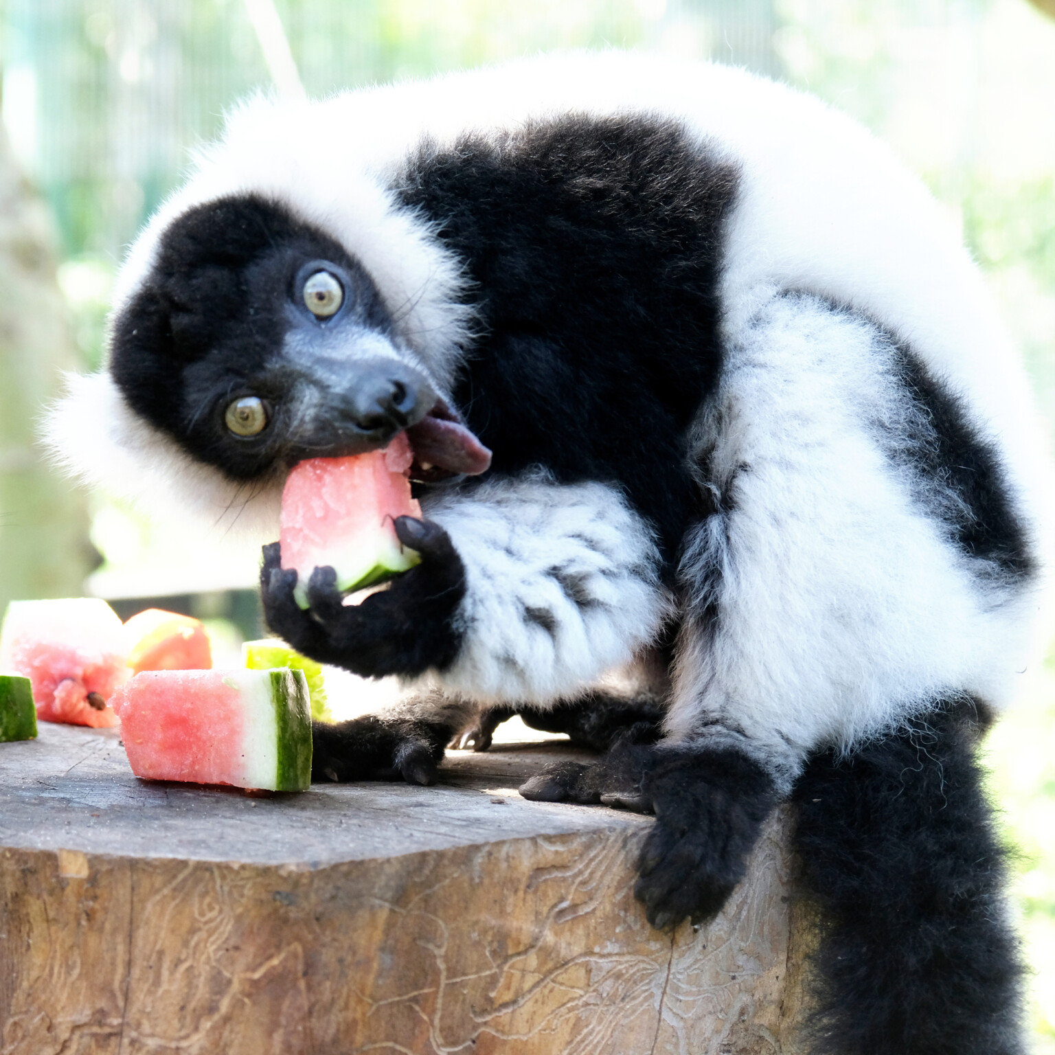 imgbig Економічні новини - головні новини України та світу