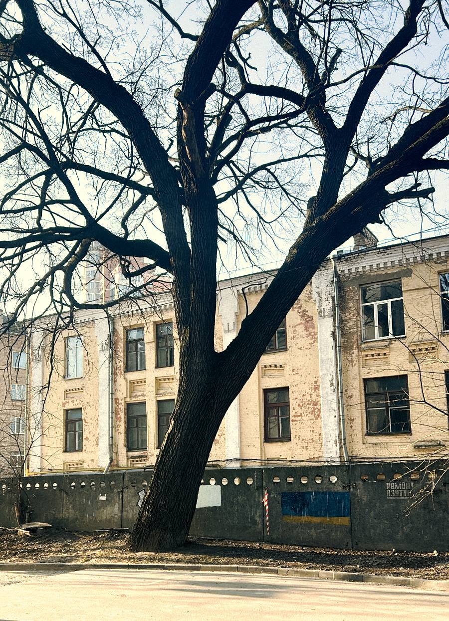 Київрада оголосила Дуб Миколи Пимоненка ботанічною пам’яткою природи місцевого значення Київрада оголосила Дуб Миколи Пимоненка ботанічною пам’яткою природи місцевого значення